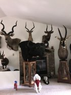 IMG_7440.jpeg