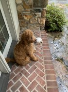 IMG_1150.jpeg