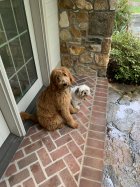 IMG_1151.jpeg