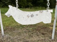 IMG_8308.jpeg
