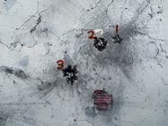 IMG_8312.jpeg