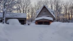 20221119_070453.jpg