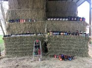 34386D81-D969-47AB-896B-D76A9BD4D076.jpeg