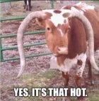 Texas - Yes, it's that hot.jpeg