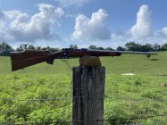 IMG_2770.jpeg