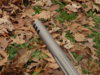 DSC01328.JPG
