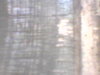 PICT0012.JPG