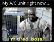 IMG_1457.jpeg