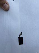 IMG_2061.jpeg