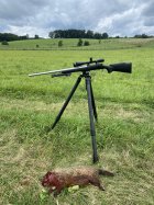 IMG_2849.jpeg