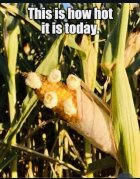 IMG_1573.jpeg