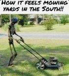IMG_1579.jpeg