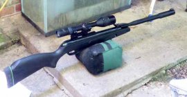 Gamo-1.jpg