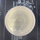 E3D11DED-6CE6-47F1-A0AC-5284DE8D4C58.jpeg