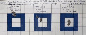 PRS Rifle with second barrel final target.jpg