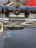 IMG_6266.jpeg