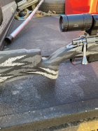 IMG_6267.jpeg
