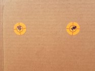 CZ455target.jpg