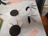 20230820_080526.jpg