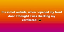 IMG_1868.jpeg