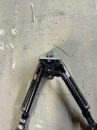 IMG_0703.jpeg