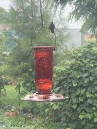 IMG_8002.jpeg