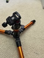 IMG_6529.jpeg