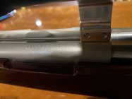 IMG_4340.jpeg