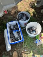 IMG_0746.jpeg