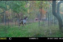 Screenshot_20221023-102952_USB Photo Viewer.jpg