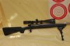 Pronghorn rifle with 300yd target small.jpg