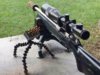 Ammo Block w Joby Hybrid.JPG