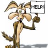 581058-wile_e_coyote.jpg