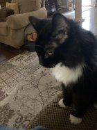 IMG_0179.jpeg