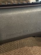 IMG_2195.jpeg