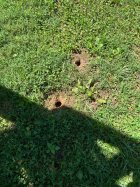 IMG_0805.jpeg