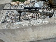 IMG_6588.jpeg