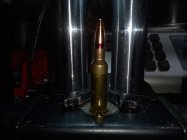Loaded round.jpg