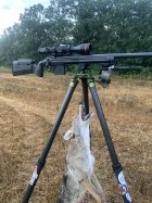 IMG_3178.jpeg