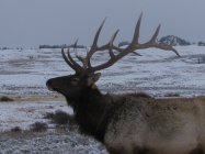 IMG_0074.JPG
