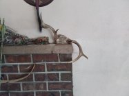 IMG_20230909_122411.jpg