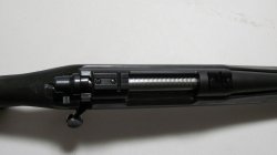 Rem 700 Top View - 4.jpg