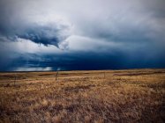 IMG_2968.jpg