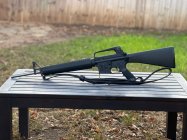 IMG_2685.jpeg