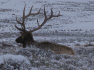IMG_0071.JPG