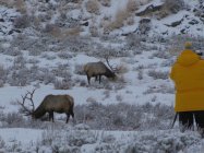 IMG_0045.JPG