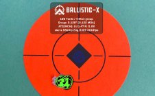 Ballistic-X-Export-2022-04-09 13:05:36.878608.jpg