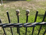 IMG_2316.jpeg