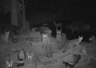 IMG_0529.jpeg