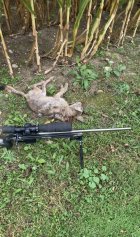 IMG_3444.jpeg IMG_3444.jpeg